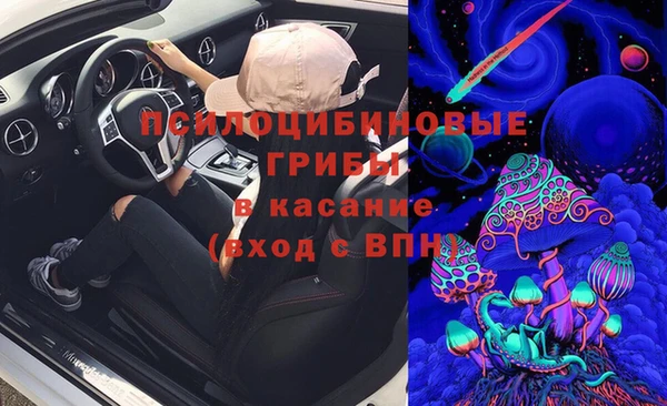 соль ск Нефтекумск