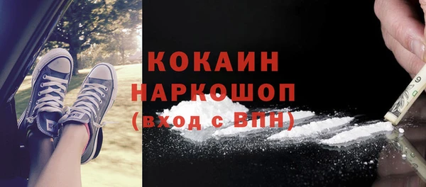дживик Новодвинск