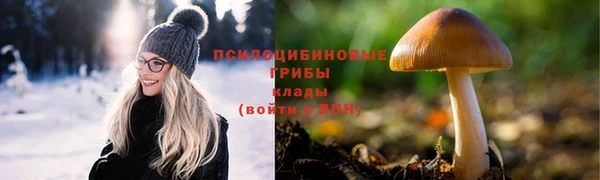 соль ск Нефтекумск