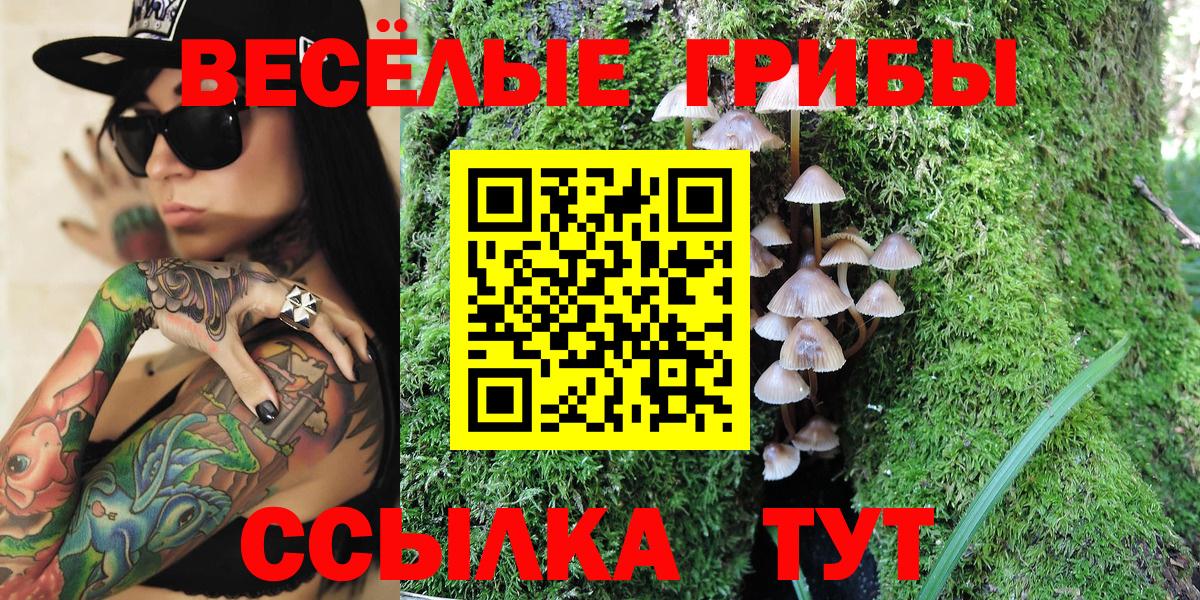 Ивантеевка  Псилоцибиновые грибы Magic Shrooms  где купить наркотик  Вход с VPN 