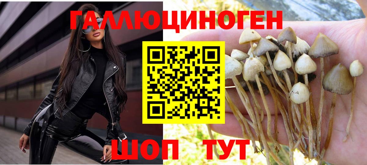 Галлюциногенные грибы ЛСД Ивантеевка